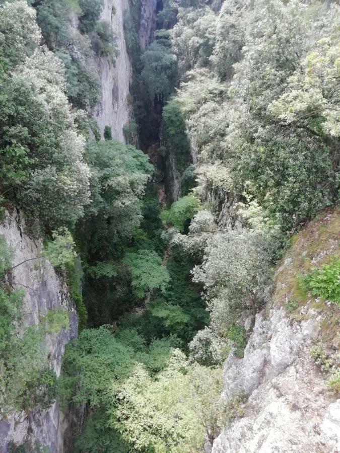 Apartmán Il Boschetto Torri Del Benaco Exteriér fotografie